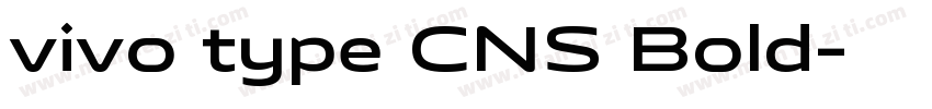 vivo type CNS Bold字体转换